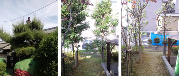 お庭の剪定サービス